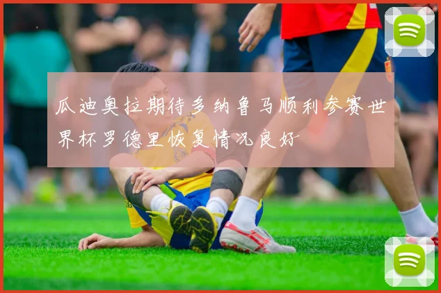 瓜迪奥拉期待多纳鲁马顺利参赛世界杯罗德里恢复情况良好